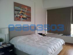 One Tree Hill Residence (D10), Apartment #91564412